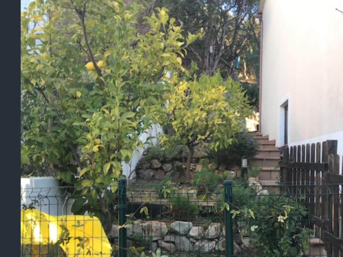 Sunny Costa Brava Getaway Leilighet Santa Cristina d'Aro Eksteriør bilde