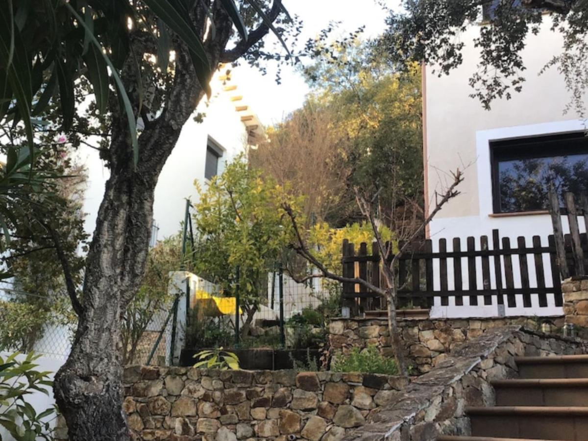 Sunny Costa Brava Getaway Leilighet Santa Cristina d'Aro Eksteriør bilde